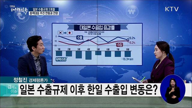 일본 수출규제 3개월···총력대응 추진 현황과 전망 [경제&이슈]