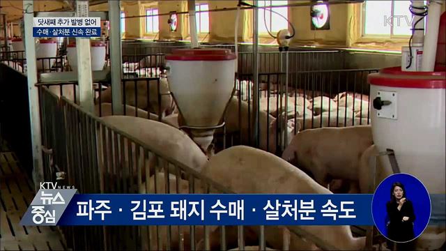 닷새째 추가 발병 없어···수매·살처분 속도