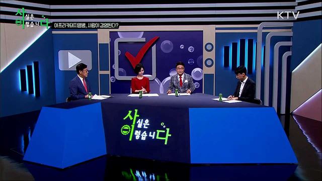 아프리카돼지열병, 사람에게 전염된다?