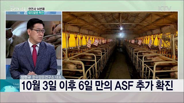 아프리카돼지열병 확진 현황과 대응책은?