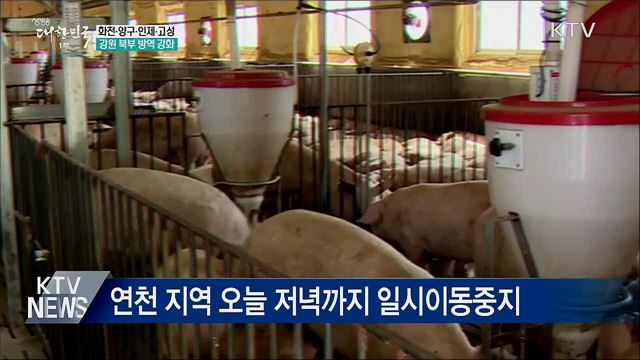 강원 북부 방역 강화···3주간 정밀검사