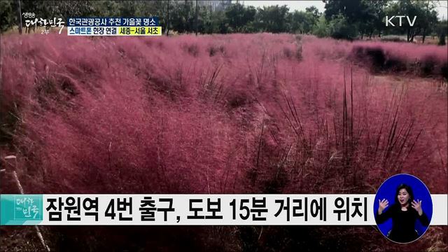 가을 인생사진 맛집, 한국관광공사 추천 가을꽃 명소