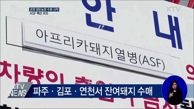 강원 양돈농장 수매 시작···ASF 확산 저지