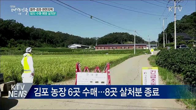 파주·김포·연천 잔여돼지 수매···예방 살처분