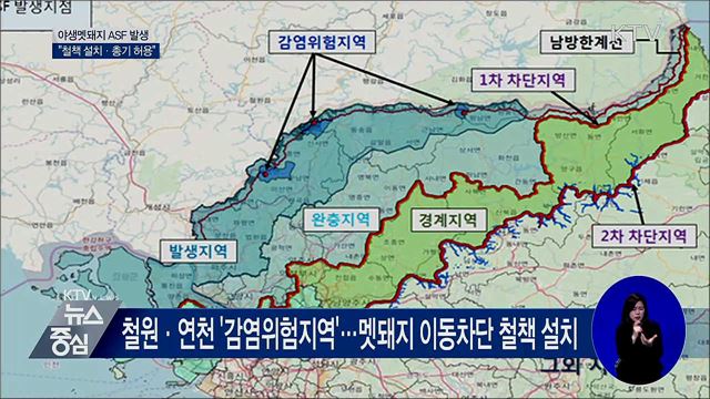 야생멧돼지 ASF 바이러스 검출···"철책 설치·총기 허용"