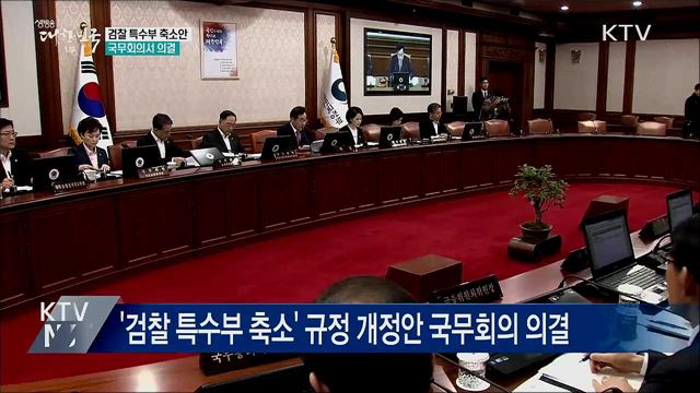 특수부 축소안 국무회의 의결···즉각 시행될 듯