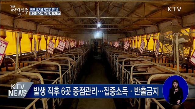아프리카돼지열병 한 달···확산방지 '사투'