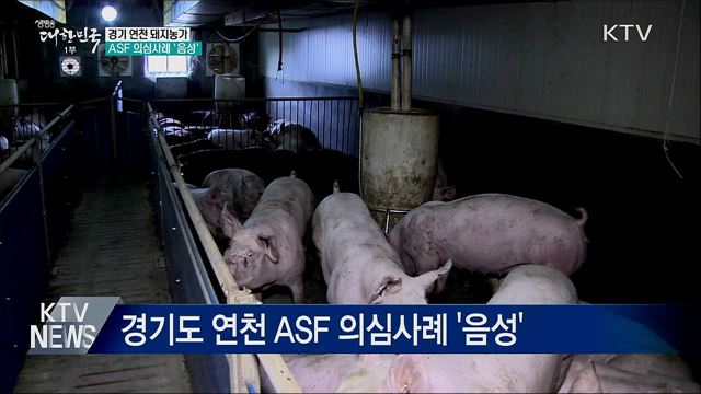 경기 연천 ASF 의심사례 '음성' 판정