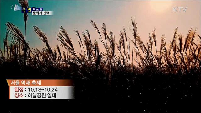 이주의 문화가 산책 (19. 10. 17. 7시)