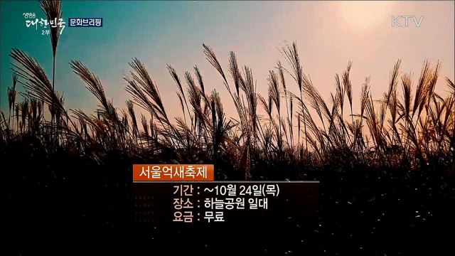 문화브리핑 (19. 10. 18. 16시)