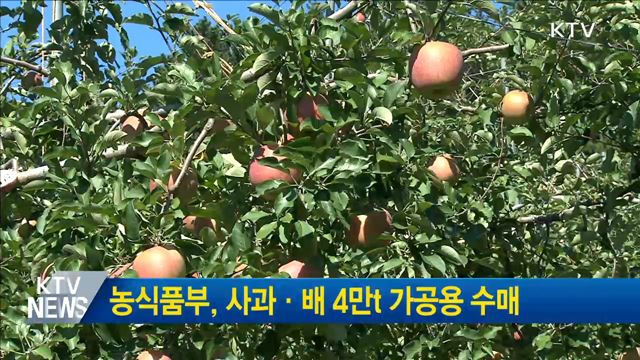 농식품부, 사과·배 4만t 가공용 수매