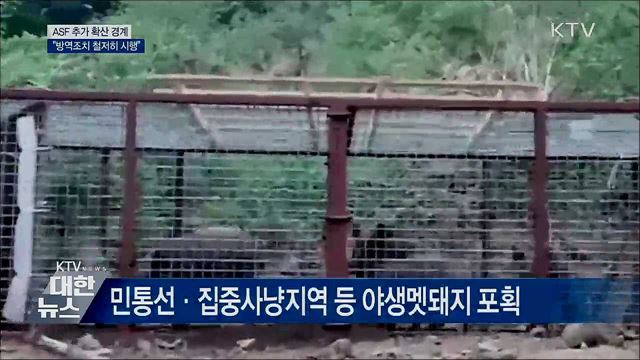 ASF 추가 확산 경계···"방역조치 철저히 시행"