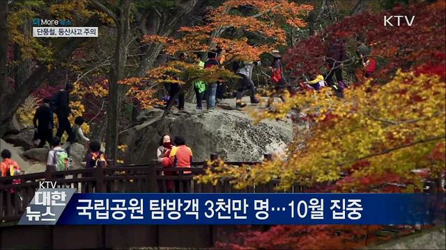 이른 추위에 빨라진 단풍철···등산사고 '주의'