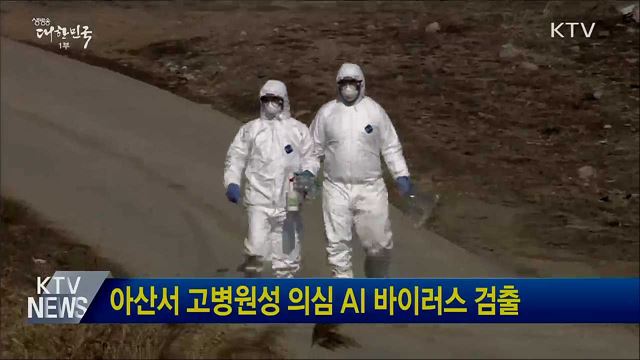아산서 고병원성 의심 AI 바이러스 검출
