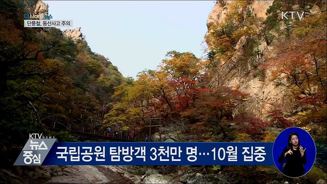 이른 추위에 빨라진 단풍철···등산사고 '주의'