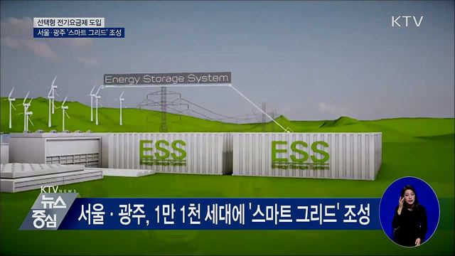 지능형 전력망 '스마트 그리드' 서울·광주에 구축