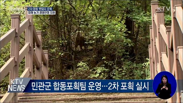 2차 멧돼지 포획···피해 농가 경영안정 지원