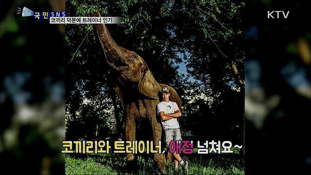 코끼리와 행복한 나날···트레이너 인기 폭발