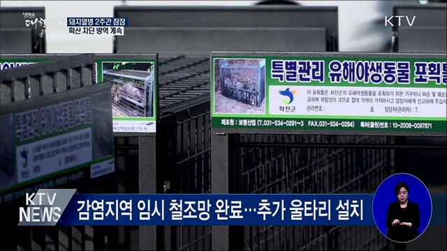 아프리카돼지열병 2주간 잠잠···차단 방역 계속