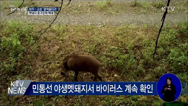 파주∼고성 광역울타리···멧돼지 총기포획 확대