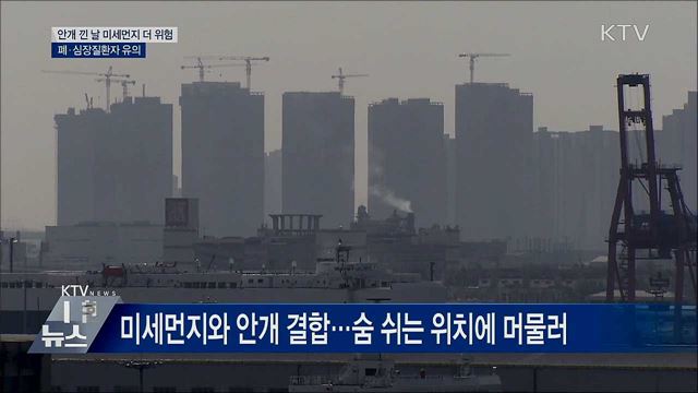 "안개 낀 날 미세먼지 더 위험···폐·심장질환 유의"