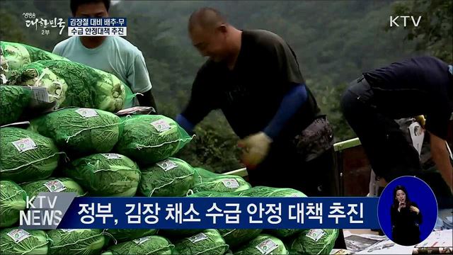 김장철 대비 배추·무 수급 안정 추진
