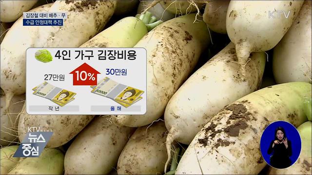 김장철 대비 배추·무 수급 안정 추진