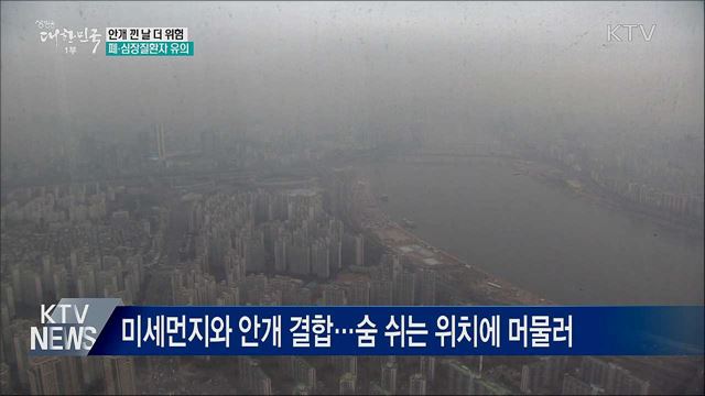 "안개 낀 날 더 위험···폐·심장질환 유의"