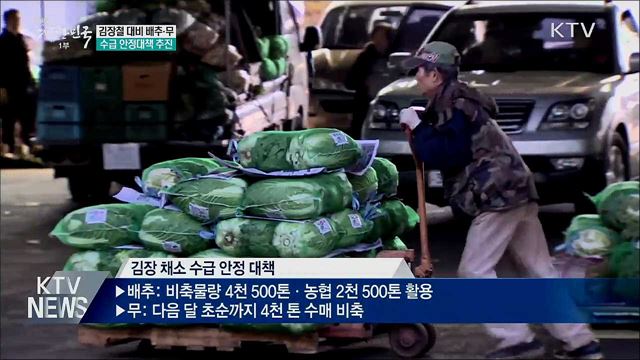 김장철 대비 배추·무 수급 안정 추진