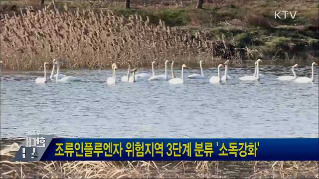 조류인플루엔자 위험지역 3단계 분류 '소독강화'