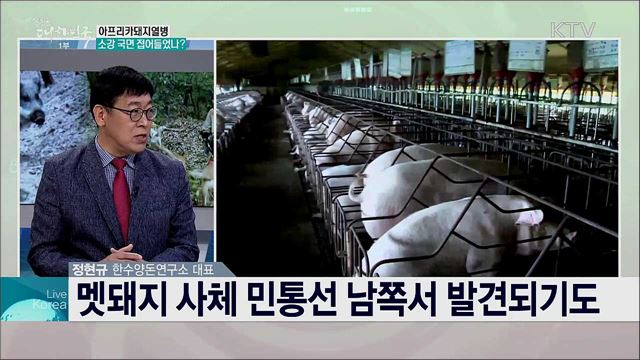 아프리카돼지열병 방역 상황과 돼지고기 소비 촉진 대책은?