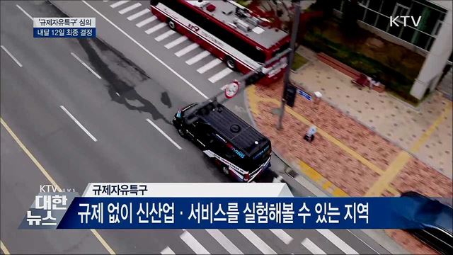 '규제자유특구' 심의···내달 12일 최종 결정