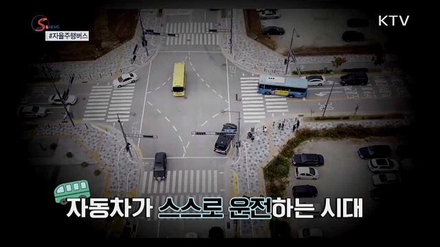 SNS스타의 추락?···천덕꾸러기 '핑크뮬리' [S&News]