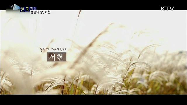 생명의 땅, 서천 [한국의 美]