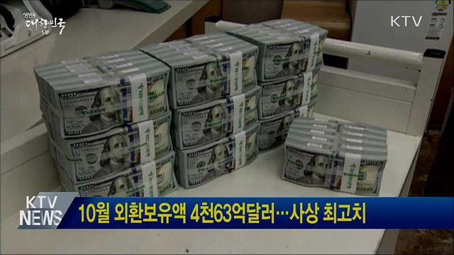 10월 외환보유액 4천63억달러···사상 최고치