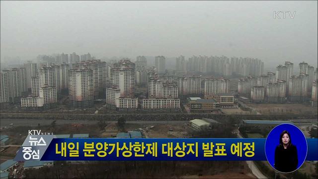 내일 분양가상한제 대상지 발표 예정