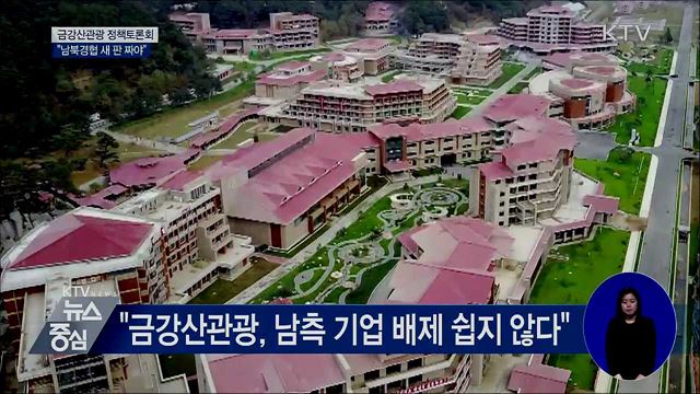 금강산관광 정책토론회···"남북경협 새 판 짜야"