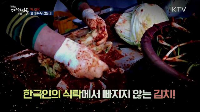 金 배추·무 잡는다! [이니셜K]