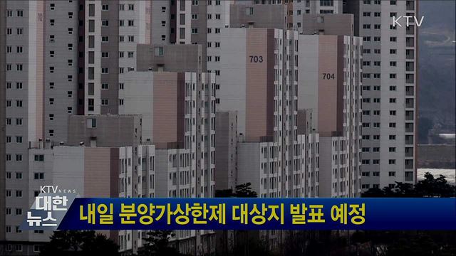 내일 분양가상한제 대상지 발표 예정