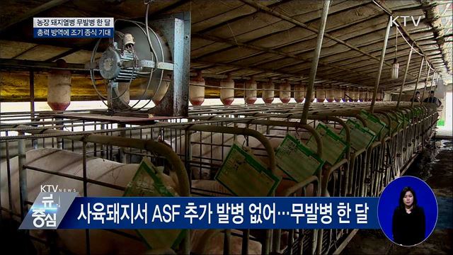 농장 돼지열병 무발병 한 달···조기 종식 기대