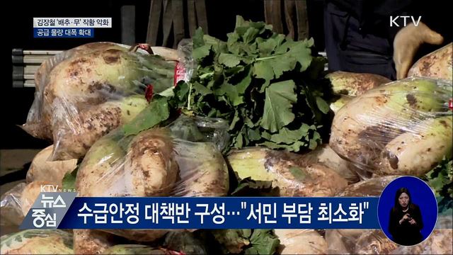 김장철, 배추·무 공급 대폭 확대