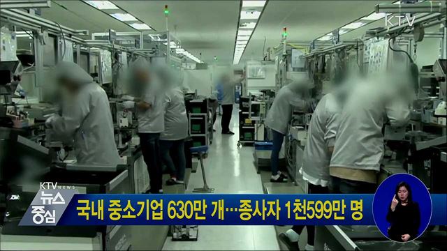 국내 중소기업 630만 개···종사자 1천599만 명