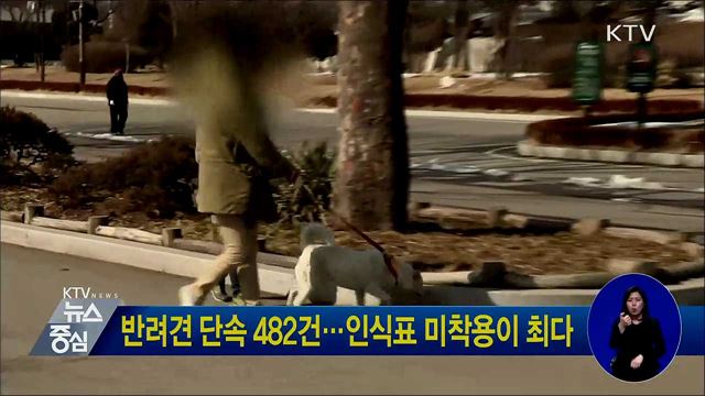 반려견 단속 482건···인식표 미착용이 최다