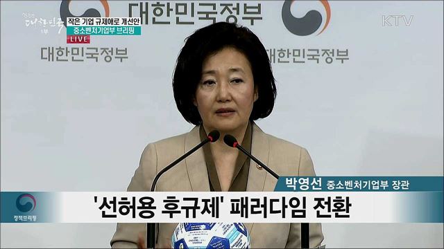 작은 기업 규제애로 개선안 중소벤처기업부 브리핑