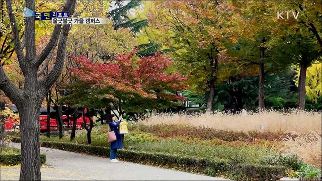 부담 없이 즐기기 좋은 대학 단풍길 '그곳'