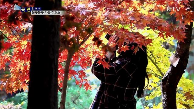 부담 없이 즐기기 좋은 대학 단풍길 '그곳'