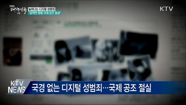 "디지털 성범죄 대응에 국제 공조 절실"