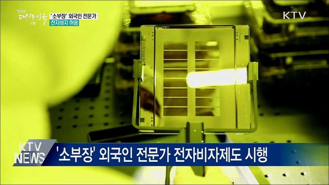 '소부장' 외국인 전문가 전자비자 허용