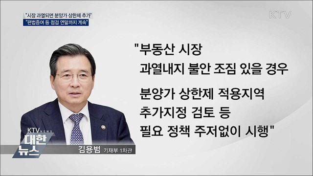 "시장 불안하면 분양가 상한제 추가 검토"