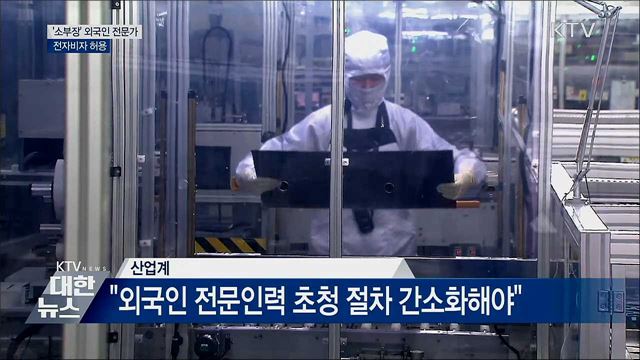 '소부장' 외국인 전문가 전자비자 허용